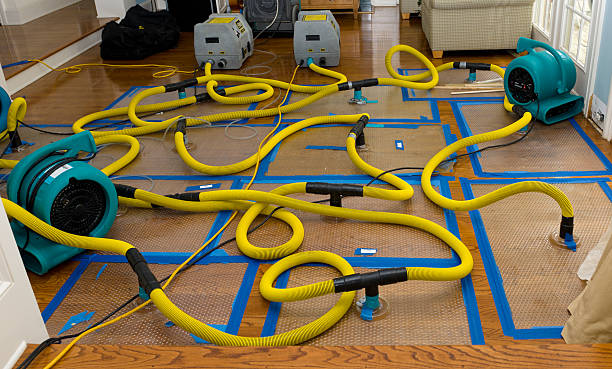 Professional Crawl Space Water Removal technician working in Mulliken, MI